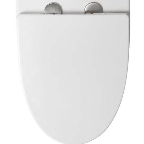 Dual-Flush Elongated One Piece Toilet Bowl - Soft Close Seat with High Efficiency Dual Flush in White