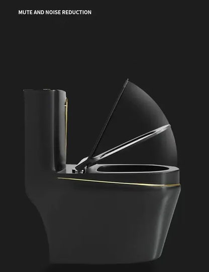 Modern Black and Gold, One Piece Ceramic Toilets Dual Flush