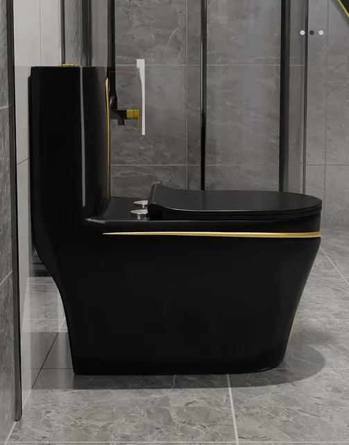 Modern Black and Gold, One Piece Ceramic Toilets Dual Flush