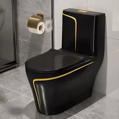 Modern Black and Gold, One Piece Ceramic Toilets Dual Flush
