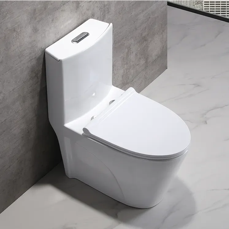 One Piece Ceramic Toilets  Dual Flush