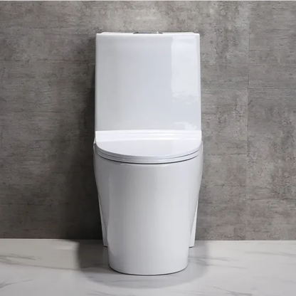 One Piece Ceramic Toilets  Dual Flush