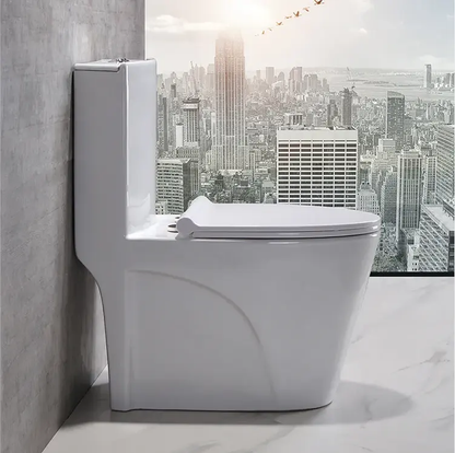 One Piece Ceramic Toilets  Dual Flush