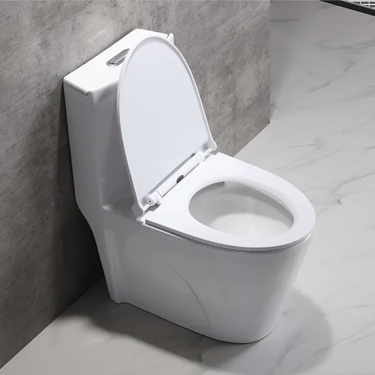 One Piece Ceramic Toilets  Dual Flush