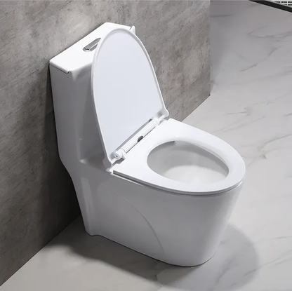 One Piece Ceramic Toilets  Dual Flush