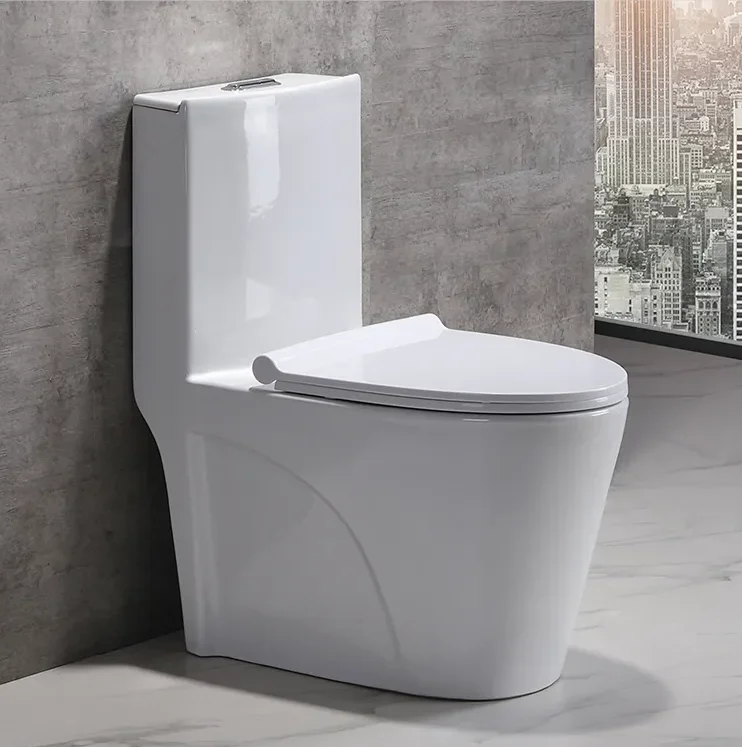 One Piece Ceramic Toilets  Dual Flush