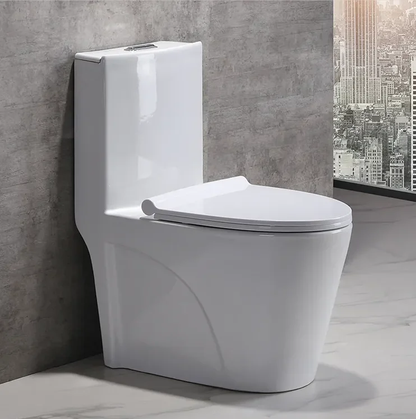 One Piece Ceramic Toilets  Dual Flush
