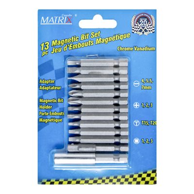 13PC DRIVER BITS WITH MAGNETIC HOLDER SET