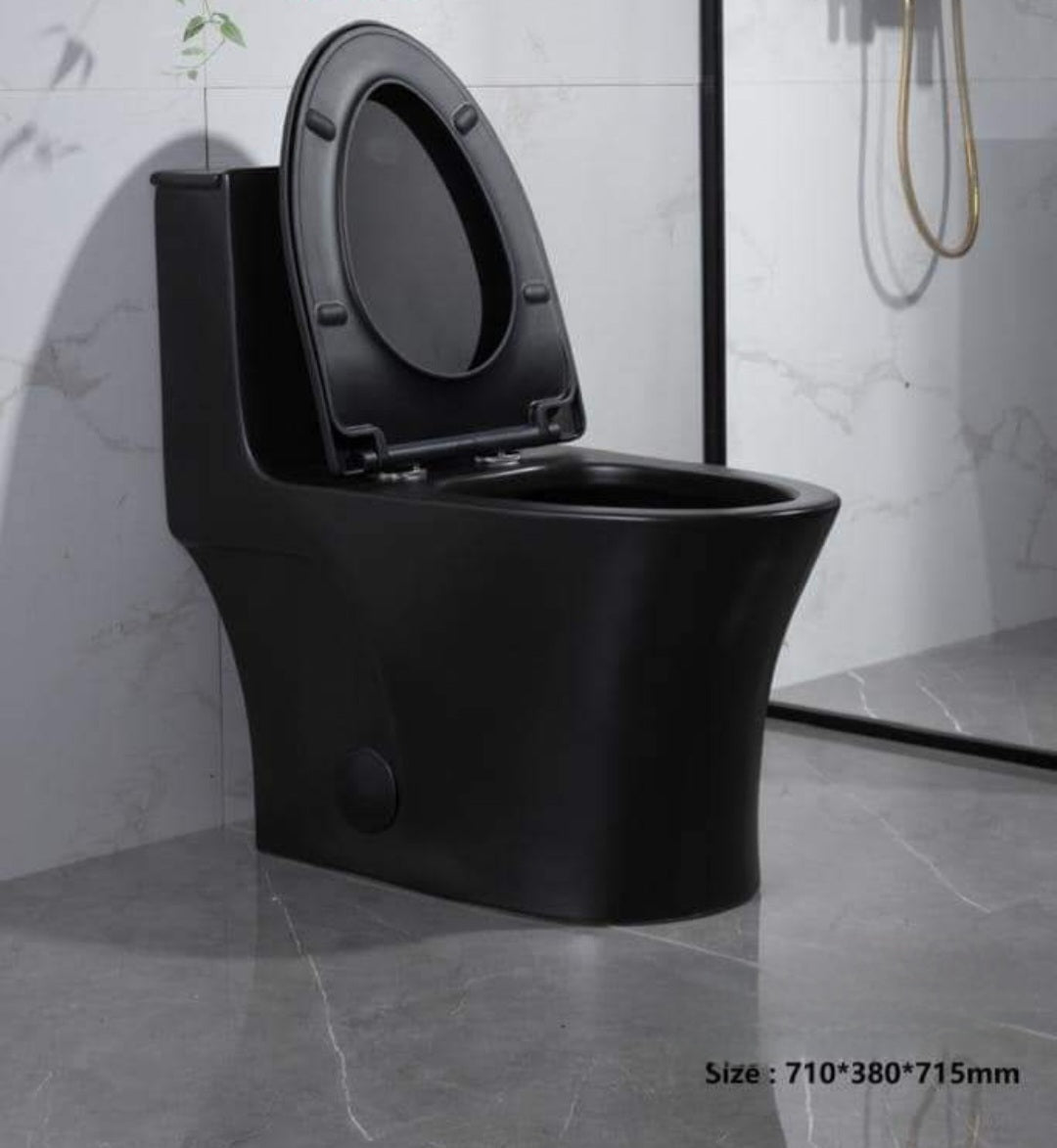 Modern Matt Black, Ceramic Toilet Dual Flush