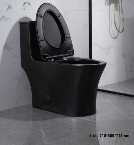 Modern Matt Black, Ceramic Toilet Dual Flush