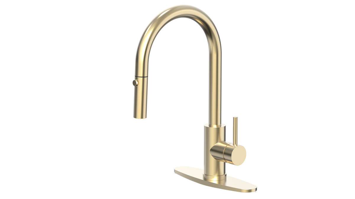 Pull Out Kitchen Faucets 1 or 3 hole