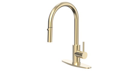 Pull Out Kitchen Faucets 1 or 3 hole