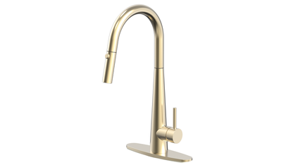 Pull Out Kitchen Faucets 1 or 3 hole