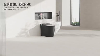 Modern Smart Toilet Black